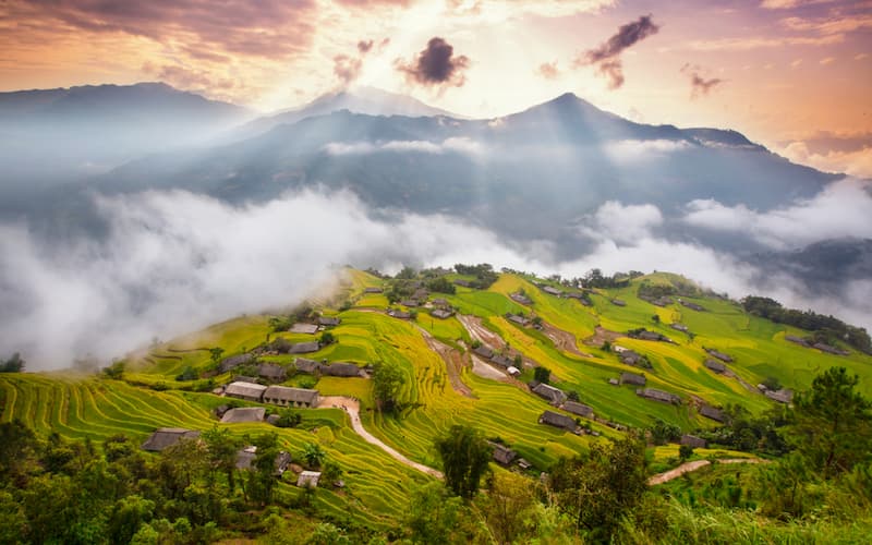 hà giang mùa lúa chín