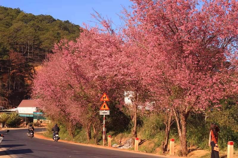 thời gian hoàn hảo ở đà lạt vào tháng 7 đến tháng 10