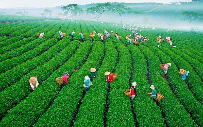 tham gia những hoạt động trải nghiệm chỉ có ở đà lạt